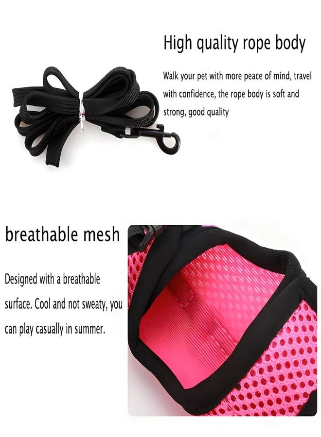 WeimoMonkey Rabbit Leash and Harness Set Escape Proof, Bunny Vest Hamster Leash Set Mesh Eescape Proof Walking Training for Small Animal Pets Rat Squirrel Ferret Guinea Pig Bunny,Blue L - Image 5